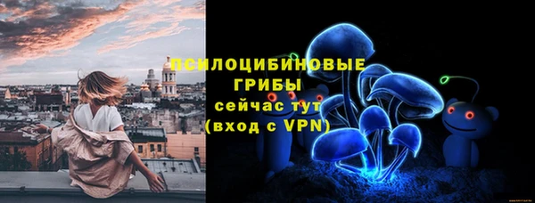 ПСИЛОЦИБИНОВЫЕ ГРИБЫ Беломорск